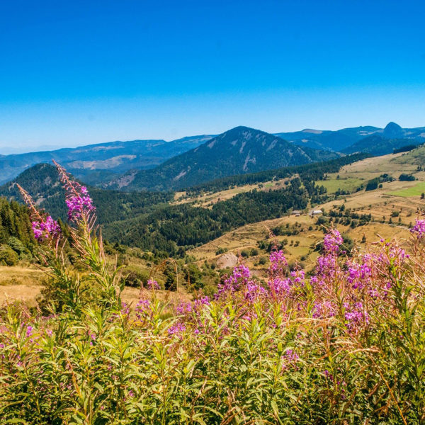 VOYAGE DE GROUPE - L’AUVERGNE : DESTINATION VOLCANIQUE !